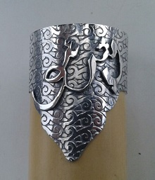 Alpaga Parazvane Takımı