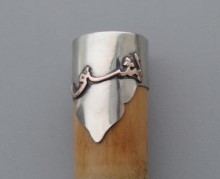 Alpaga Parazvane Takımları