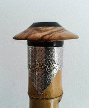 Alpaga Parazvane Takımları