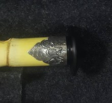 Alpaga Parazvane Takımları