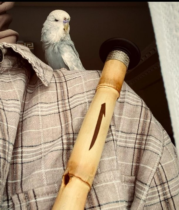 Profesyonel Şah Ney