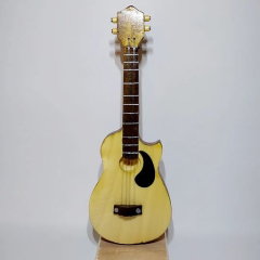 Biblo Akustik Gitar Modeli