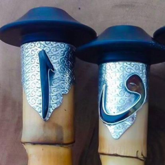 Alpaga Parazvane Takımı