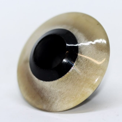 Koç Boynuzuna Manda Boynuzu Kakma Başpare