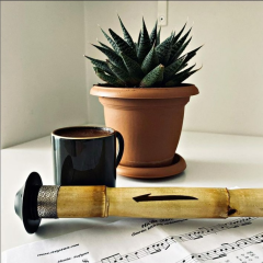 Profesyonel Şah Ney